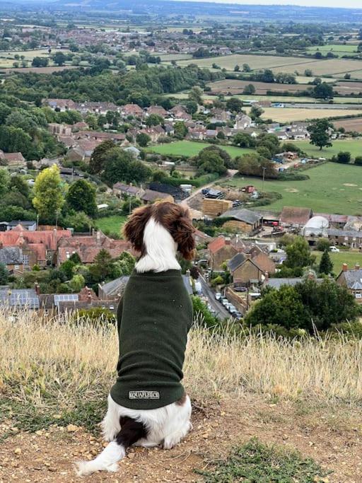 Spaniel Cottage With Views Of Ham Hill, Stoke Sub Hamdon Martock Luaran gambar