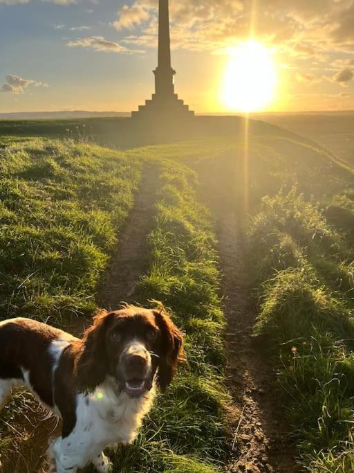 Spaniel Cottage With Views Of Ham Hill, Stoke Sub Hamdon Martock Luaran gambar
