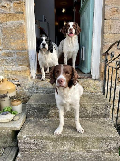 Spaniel Cottage With Views Of Ham Hill, Stoke Sub Hamdon Martock Luaran gambar