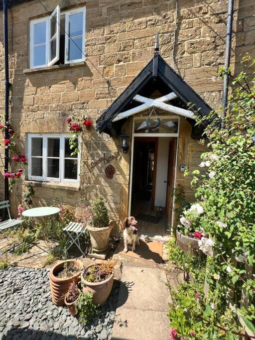 Spaniel Cottage With Views Of Ham Hill, Stoke Sub Hamdon Martock Luaran gambar